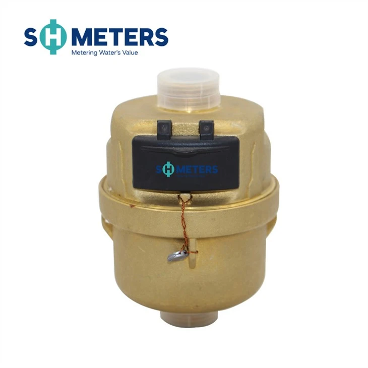 Dn15-25 Piston Volumetric Water Meter With R160 Class C Water Meter Dn15-25 Piston Volumetric Water Meter With R160 Class C Water Meter