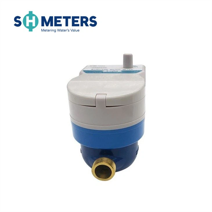 Lora Wireless Ami Water Meter